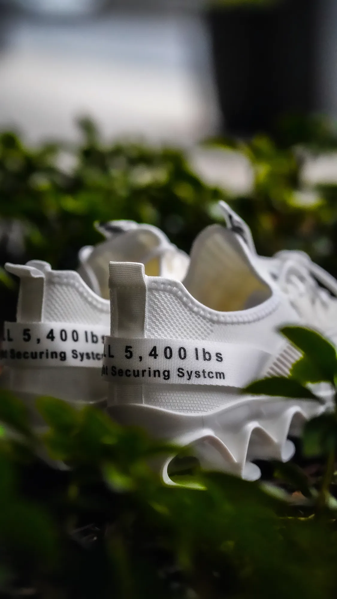 White training shoes in shallow focus among leaves